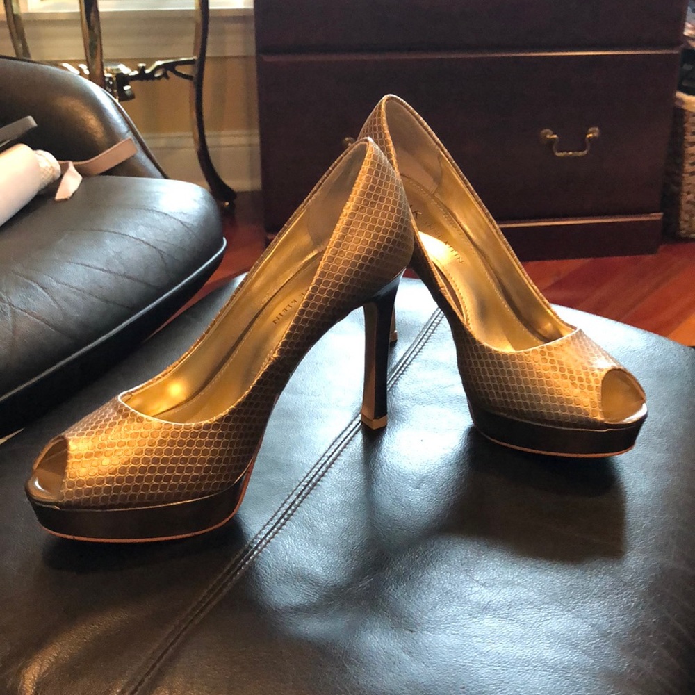 Pumps